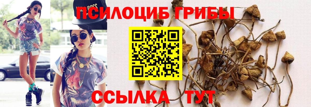 Новошахтинск  Псилоцибиновые грибы Cubensis  Галлюциногенные грибы GOLDEN TEACHER  Вход с VPN 