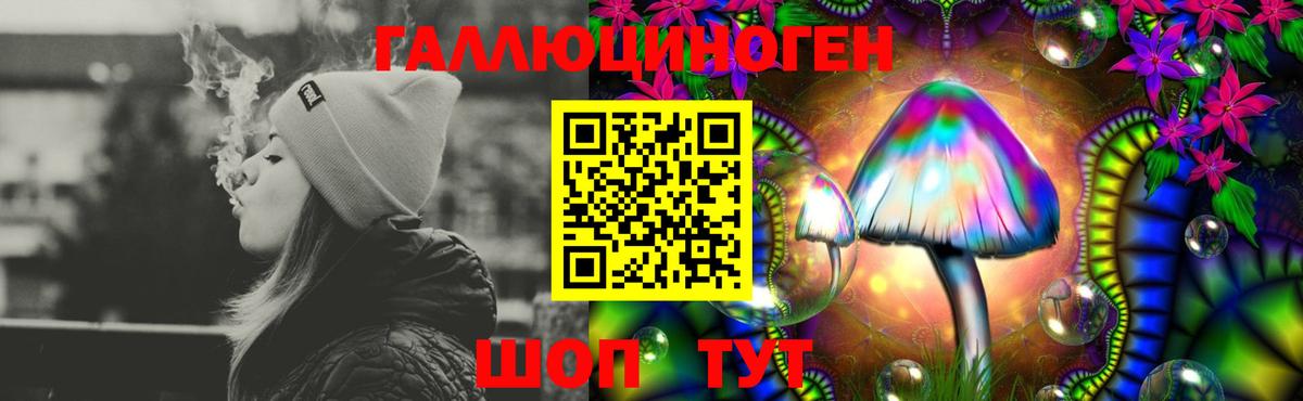 Галлюциногенные грибы Psilocybine cubensis Новошахтинск